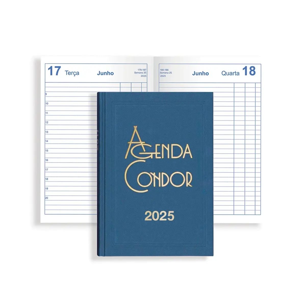 Agenda Diária A6 2025 Firmo Mini Condor Azul - Hoc Sensu