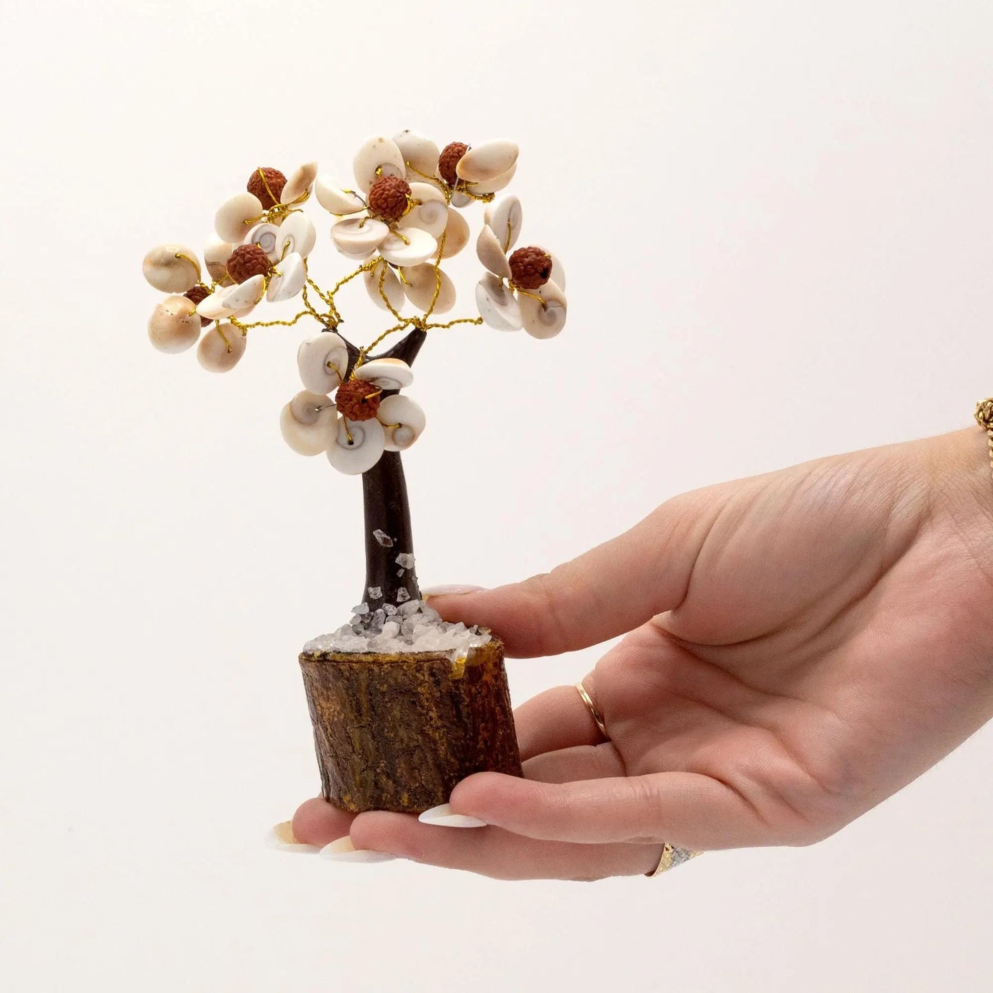 Arvore da vida - Hoc Sensu