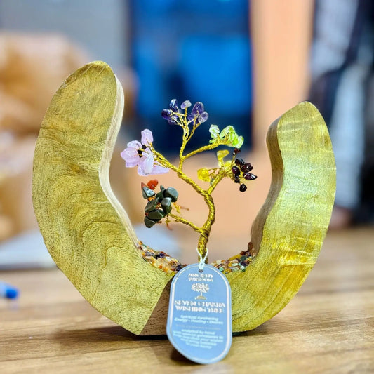 Arvore da vida - Hoc Sensu