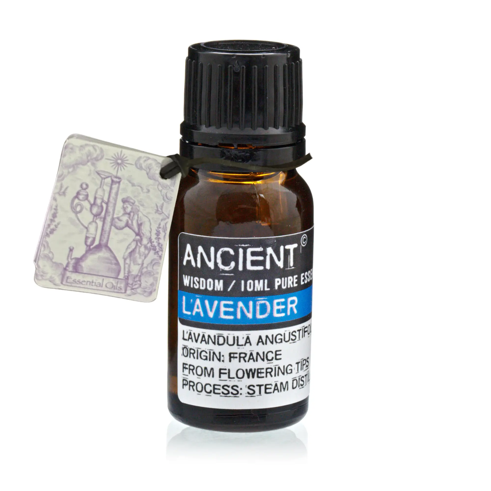 Óleo Essencial 10ml - Lavanda EO-01 Essências e Óleos Essenciais - uso humano aromoterapia