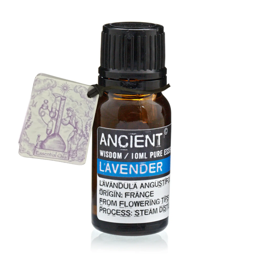 Óleo Essencial 10ml - Lavanda EO-01 Essências e Óleos Essenciais - uso humano aromoterapia