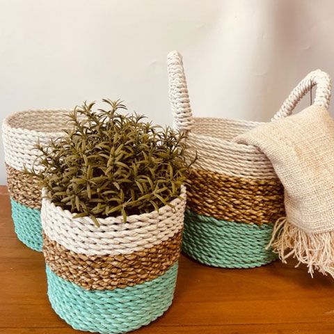 Conjunto de 3 Cestas de Algas Marinhas - Verde/Natural/Branco